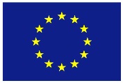 european-flag.jpg